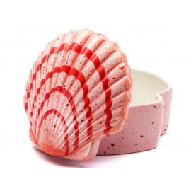 Scallop Shell Box - Case of 6 Scallop Shell Box - Case of 6