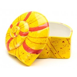 Nautilus Shell Box - Case of 6 Nautilus Shell Box - Case of 6