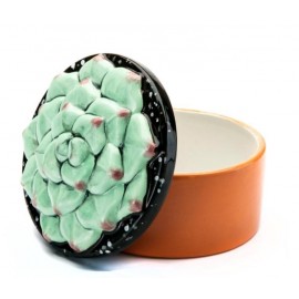 Succulent Box - Case of 6 Succulent Box - Case of 6