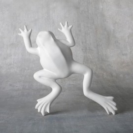 Wall Frog