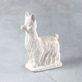 Llama - Case of 6 - Special Llama - Case of 6 - Special