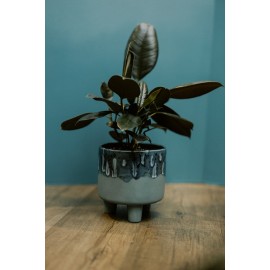 Footed Planter Footed Planter