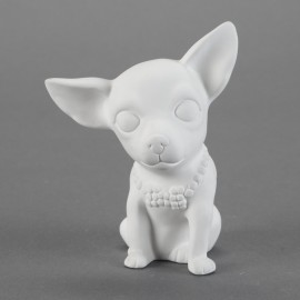 Brewser the Chihuahua- Case of 6 Brewser the Chihuahua- Case of 6