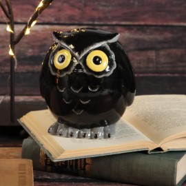 Tot Hoot Bank- Case of 6 Tot Hoot Bank- Case of 6