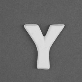 SM Letter Y Embellie - Case of 12