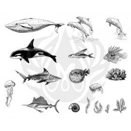 Sea Life 2 Designer Silk Screen