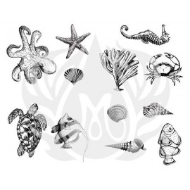 Sea Life - Designer Silk Screen