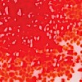 Orange (med) 8 ounce coe 96